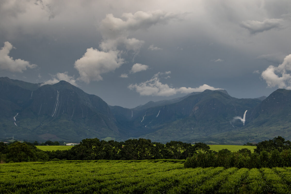 Mount Mulanje landscape