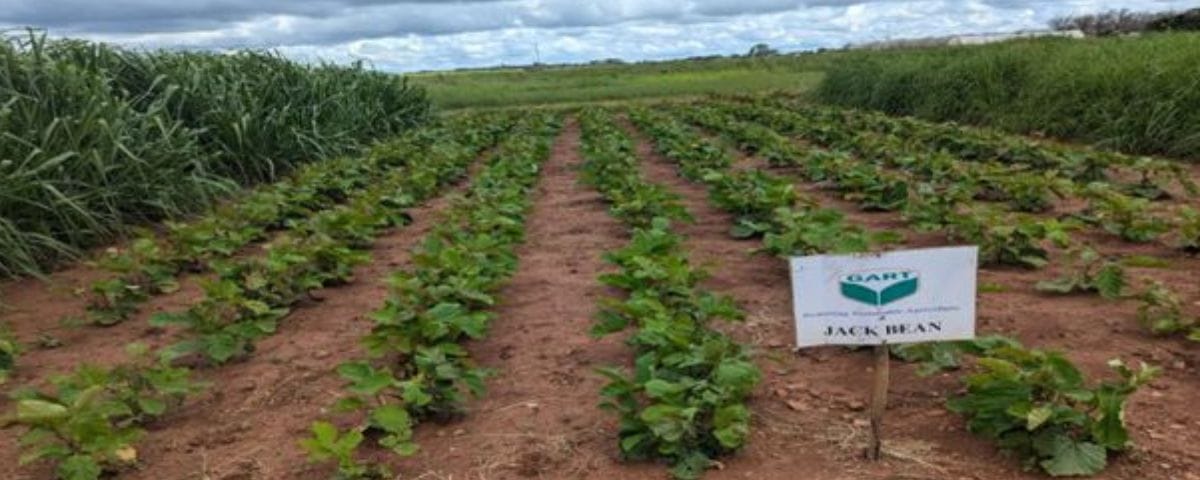 GART pasture demo site showcasing legume and pasture grass production